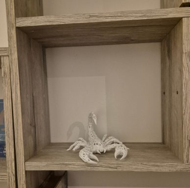 NovaVoro Skorpion